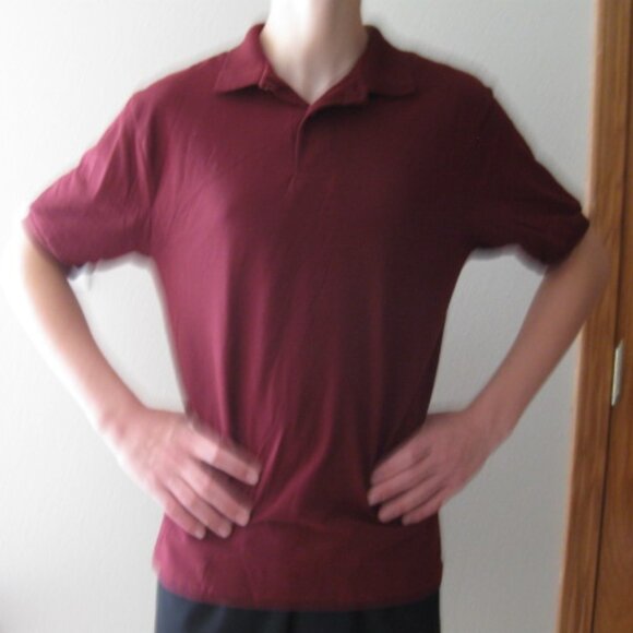 HANES UNISEX MEN'S SIZE SMALL (34 - 36) BURGUNDY POLO / GOLF SHIRT WOMEN'S NWT - Picture 2 of 10